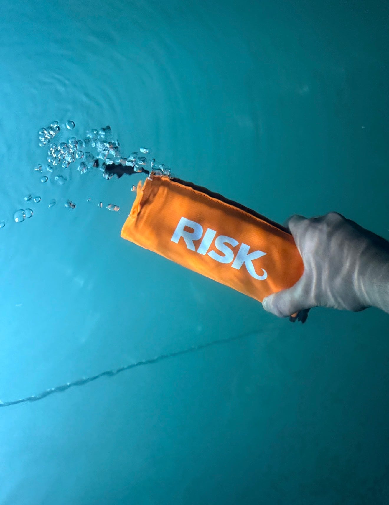 Risk Survival System